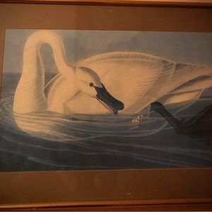 Swan painting for sale!